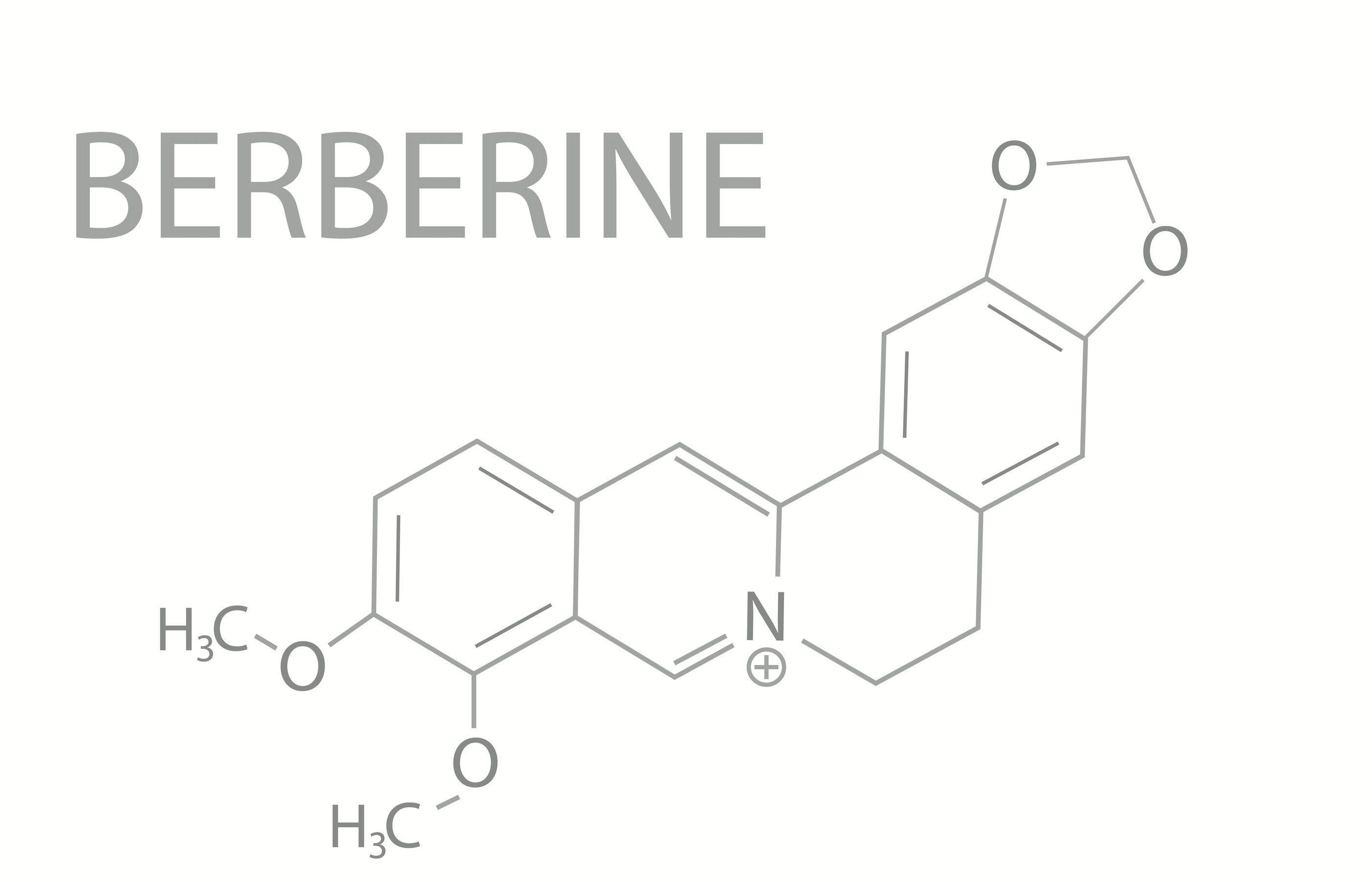Berberine and the Benefits of Berberine Supplementation