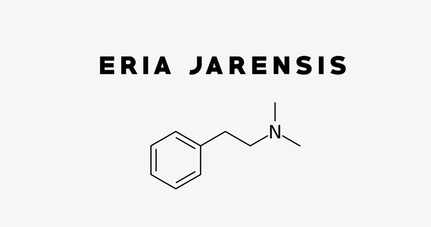 eria at chaos and pain