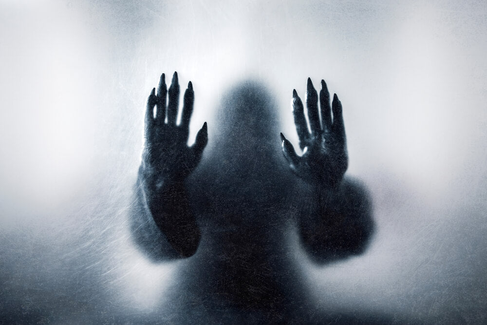 HALOSTACHINE - THIS KITTEN HAS CLAWS - Chaos and Pain