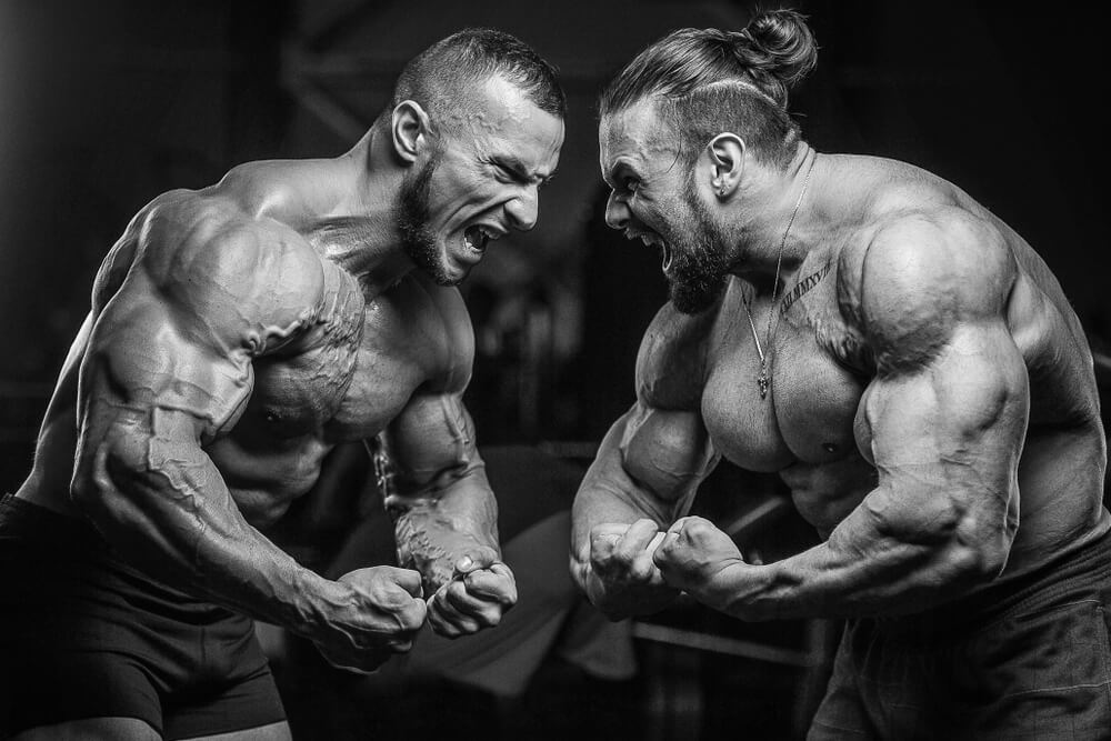 PERSONALITY TYPES AND TRAINING - Chaos and Pain