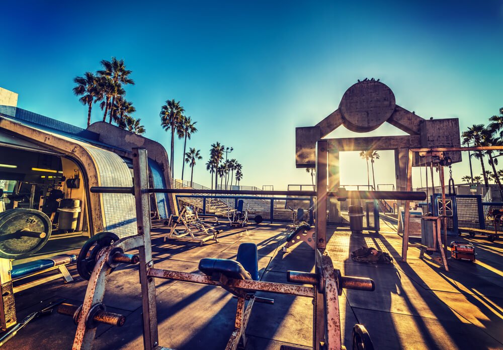 ZABO KOSZEWSKI MOST INTERESTING MAN IN THE WORLD AND BEST ABS EVER. AND HARDEST PARTIER IN MUSCLE BEACH - Chaos and Pain