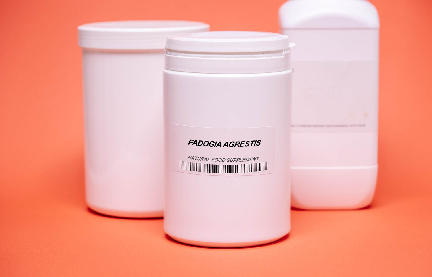 Fadogia Agrestis - Increase Your Testosterone