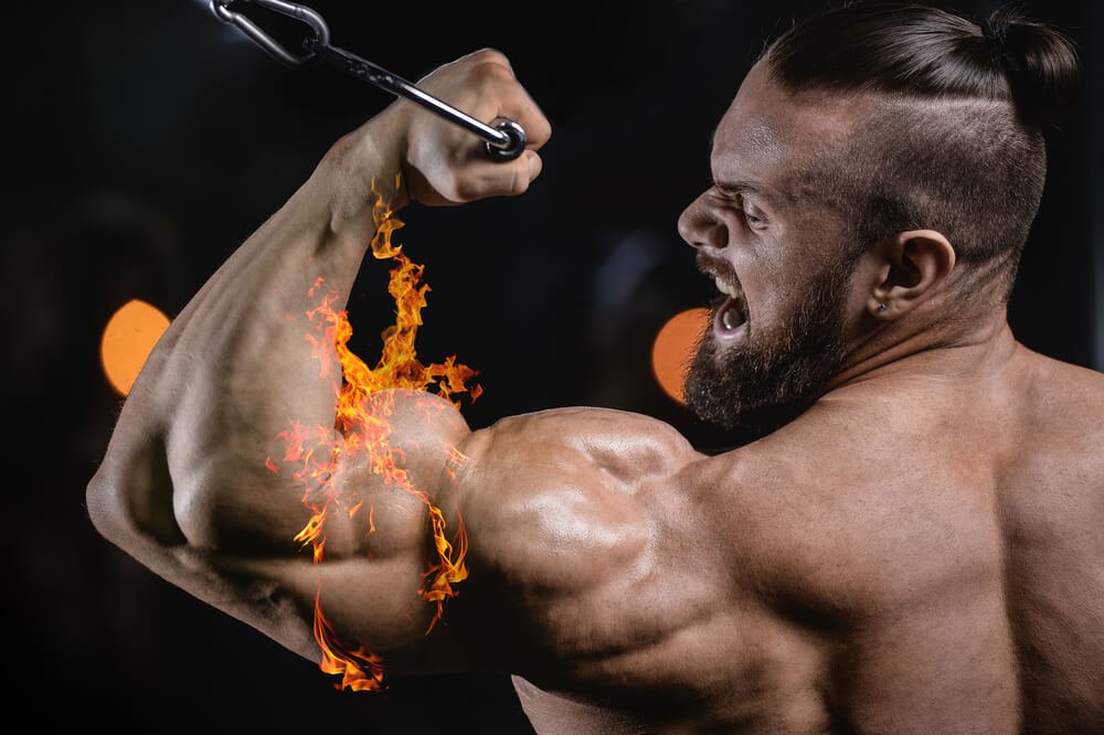 HOW TO MAKE FAT BURNERS WORK FOR YOU - Chaos and Pain