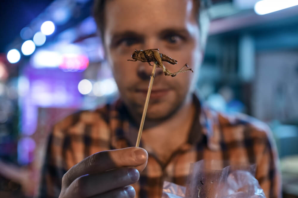 THE EXCELLENCE OF ENTOMOPHAGY HOW EATING INSECTS CAN GET YOU JACKED