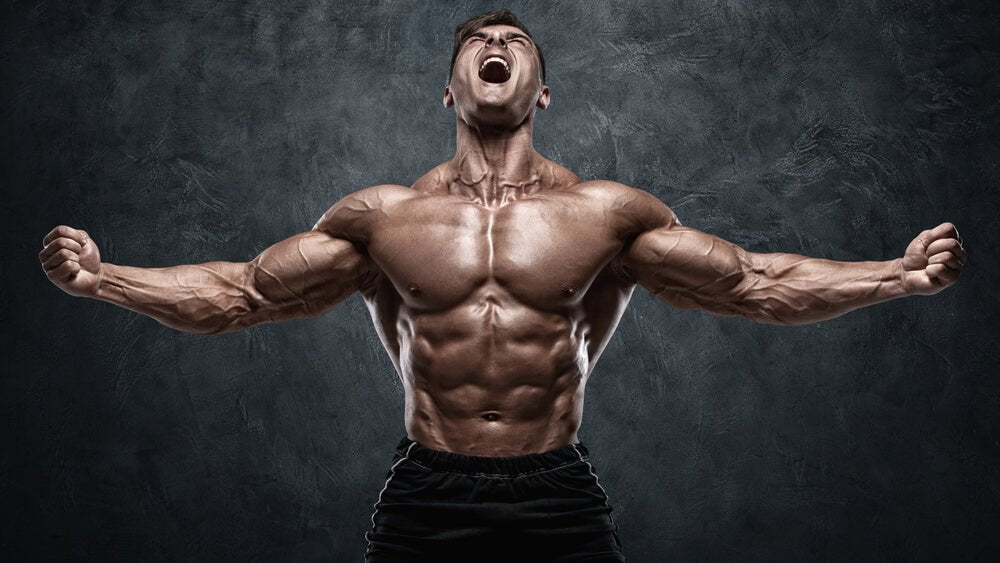 WORKOUT SUPPLEMENTS FOR BODYBUILDING SUPERIORITY - Chaos and Pain
